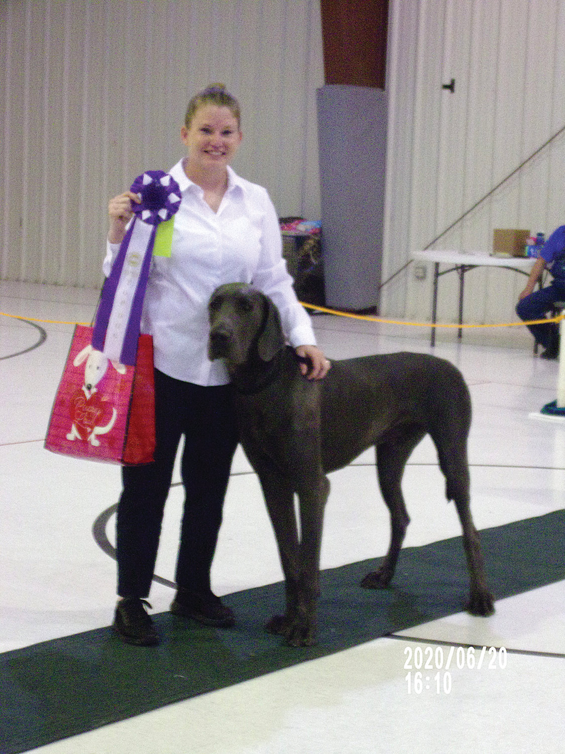 This Blue Great Dane, “Allisons’ the Legend Lives on at PDK” was Top Dog of show two.